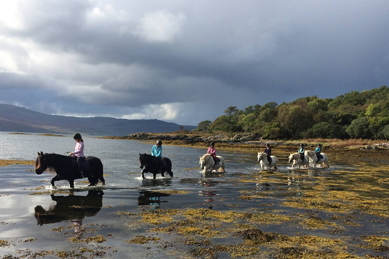 Plan a family holiday to the Isle of Mull and your children are guaranteed a great adventure, from swimming to beaches, aquariums, castles and more...