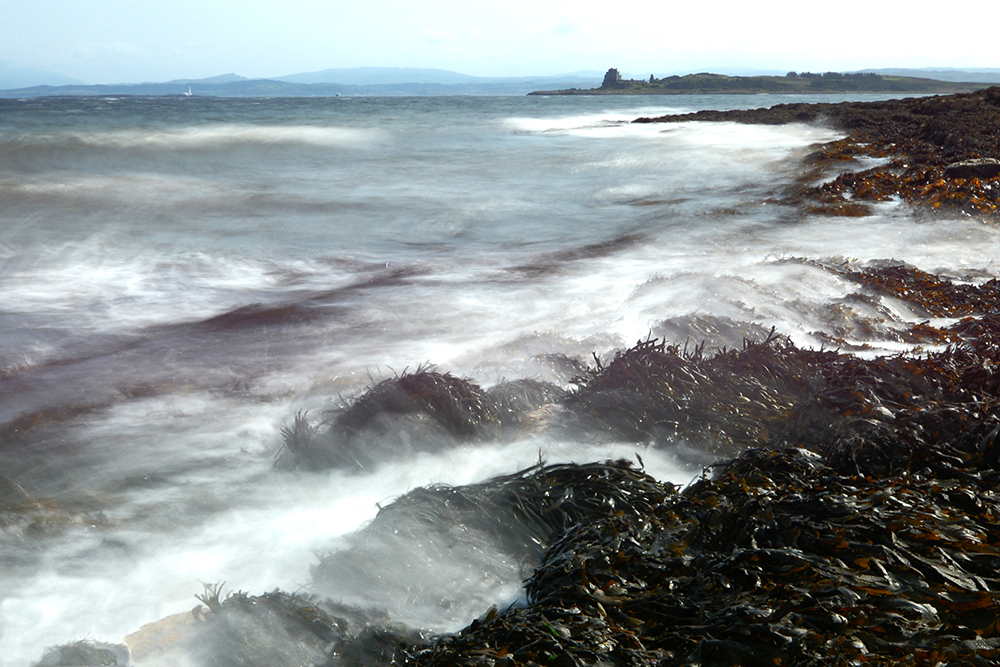 Top Tips for Stargazing and Treasure Hunting on Mull in Winter