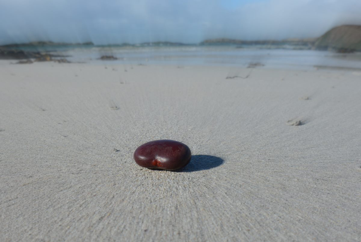 Top Tips for Stargazing and Treasure Hunting on Mull in Winter