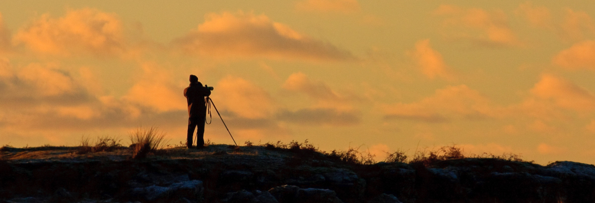 Person with telescope on Mull, looking out for winter wildlife