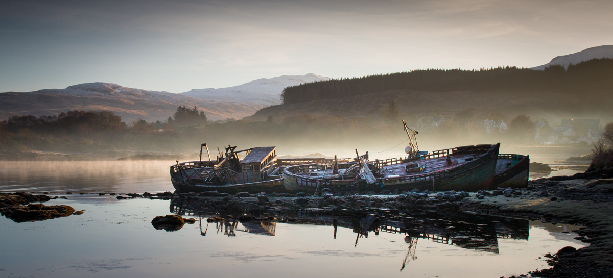 Salen Bay on Mull, a winter wildlife haven for harbour seals