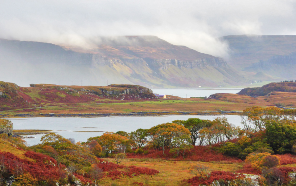 Autumn on Mull can be spectacular, from its starry, dark skies to the changing colours of the landscape and the wildlife waiting to be discovered...