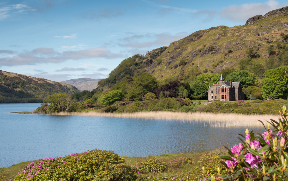 If you're planning a birdwatching or nature-inspired trip, find out about our best cottages for wildlife on Mull, with wild views from the window!