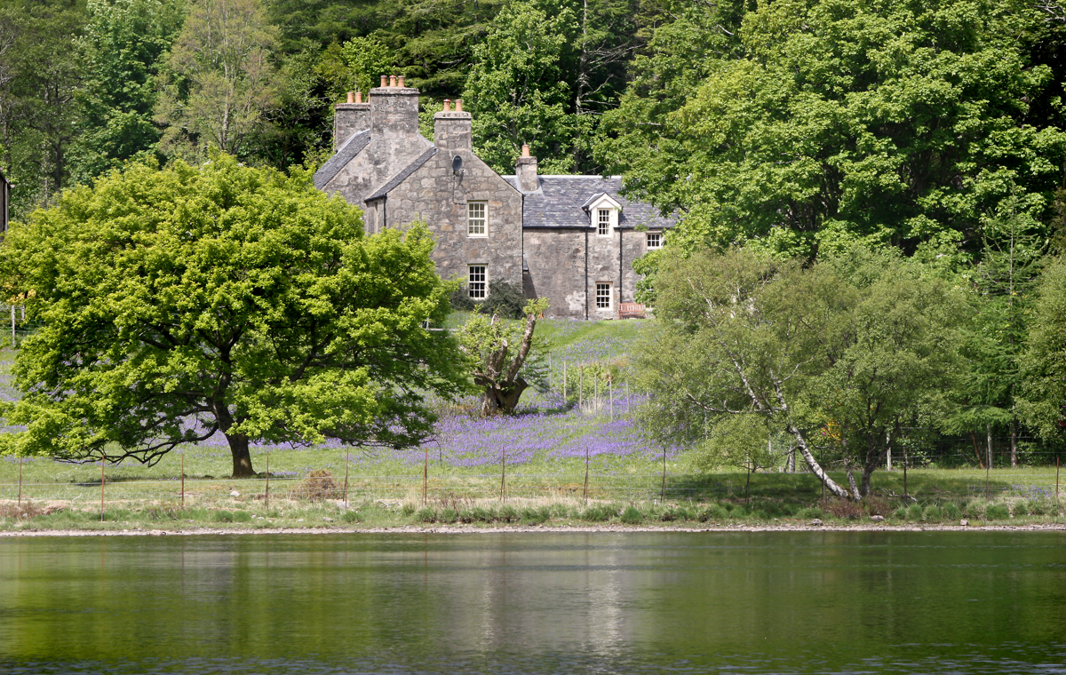 If you're planning a birdwatching or nature-inspired trip, find out about our best cottages for wildlife on Mull, with wild views from the window!