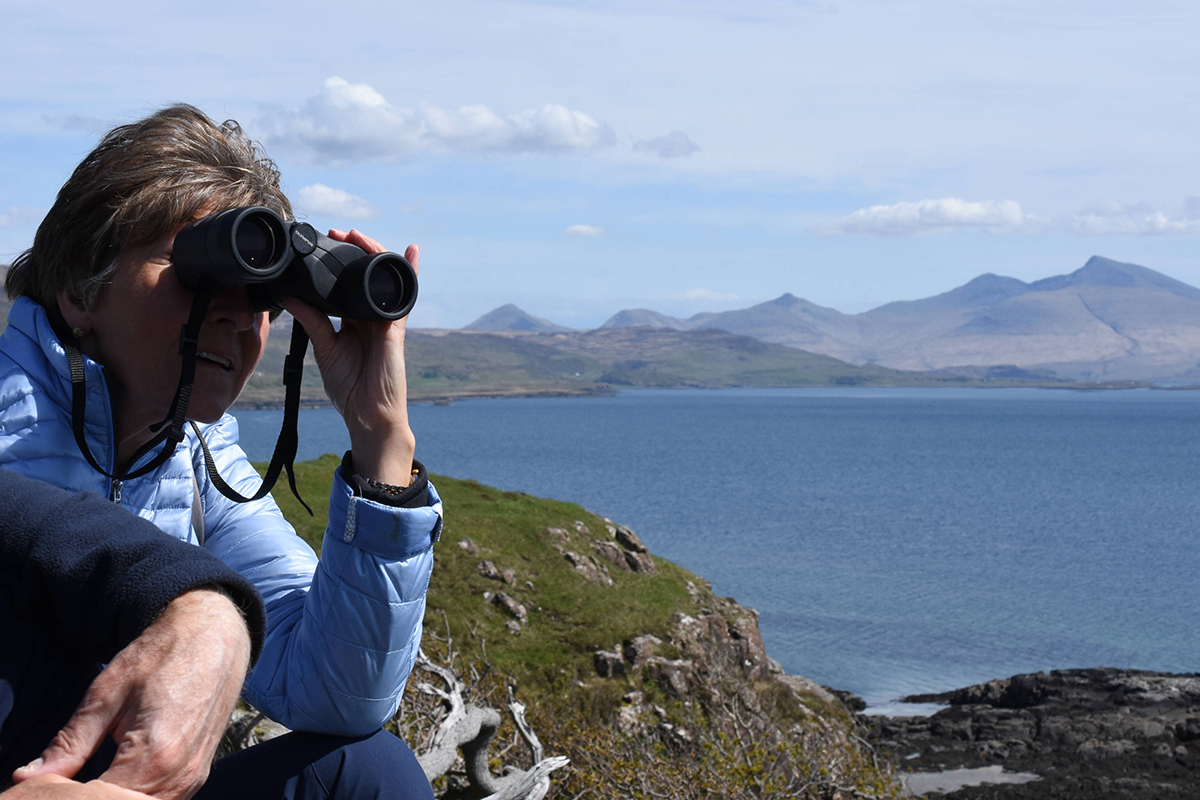 Discover the huge variety of Isle of Mull nature you could see, from otters to dolphins, seals to sea eagles, and learn about their habitats.
