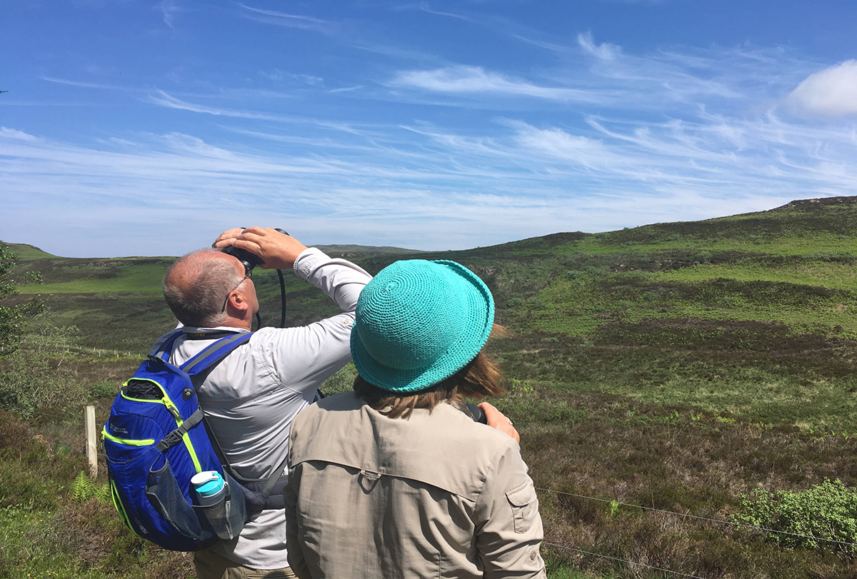 Discover the huge variety of Isle of Mull nature you could see, from otters to dolphins, seals to sea eagles, and learn about their habitats.