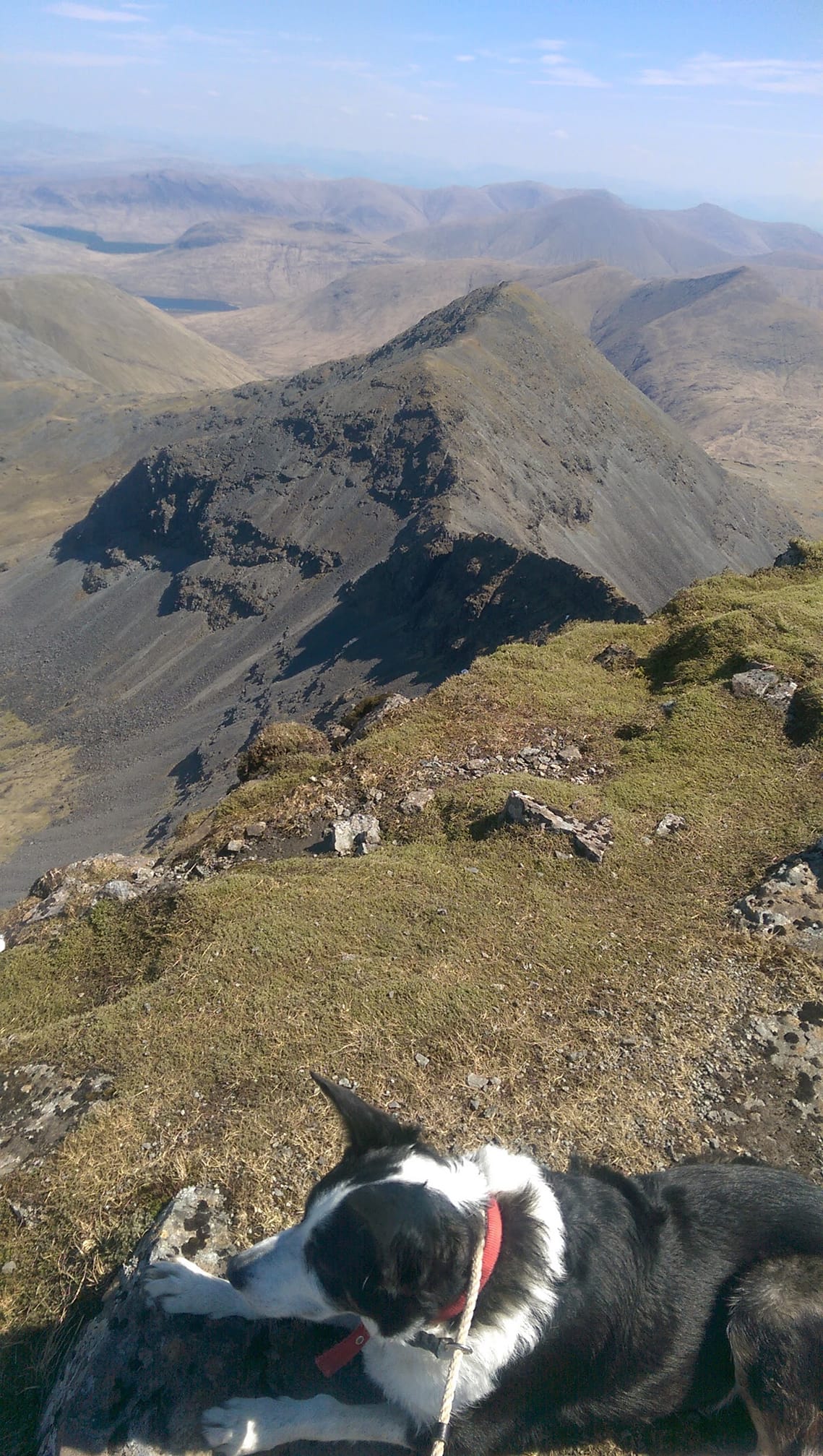 border collie dog sits at the top of Ben More, highest mountain on Mull