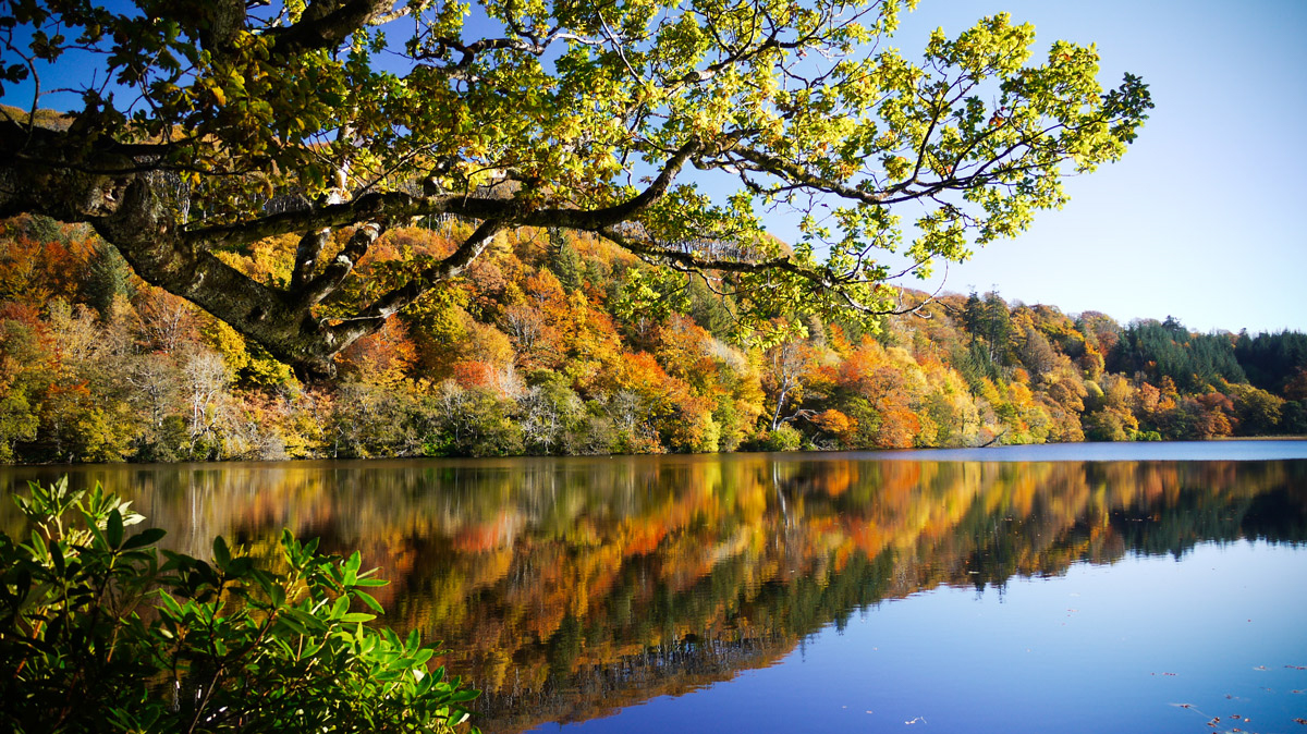 Take a woodland walk around the loch at Aros Park when you visit Mull in autumn.