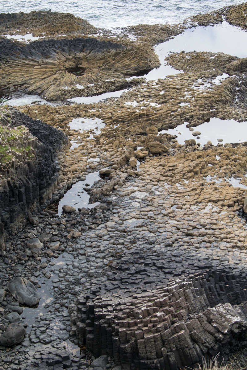 Spectacular rock formations and geology on the walk to MacCulloch's Fossil Tree