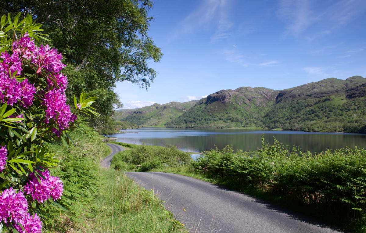 Leave the car at the cottage and walk to Mull's most scenic spots for a more eco-friendly holiday on Mull