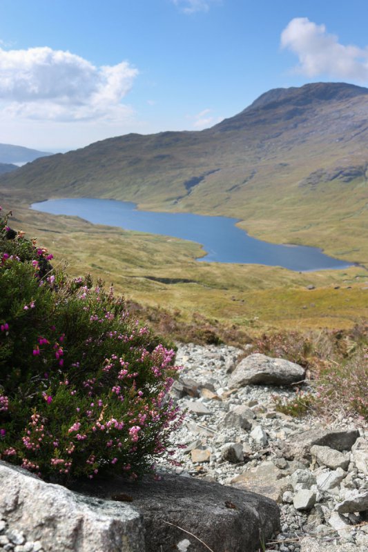 Best walks on the Isle of Mull - three lochs