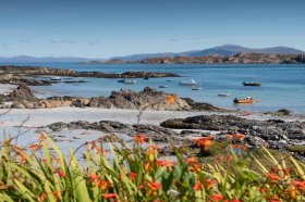 Iona in late summer