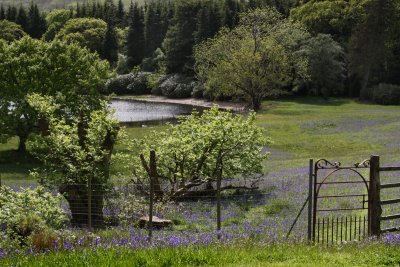 Garden leading to the shore of Loch Ba