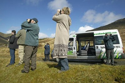 Guided Wildlife Tours