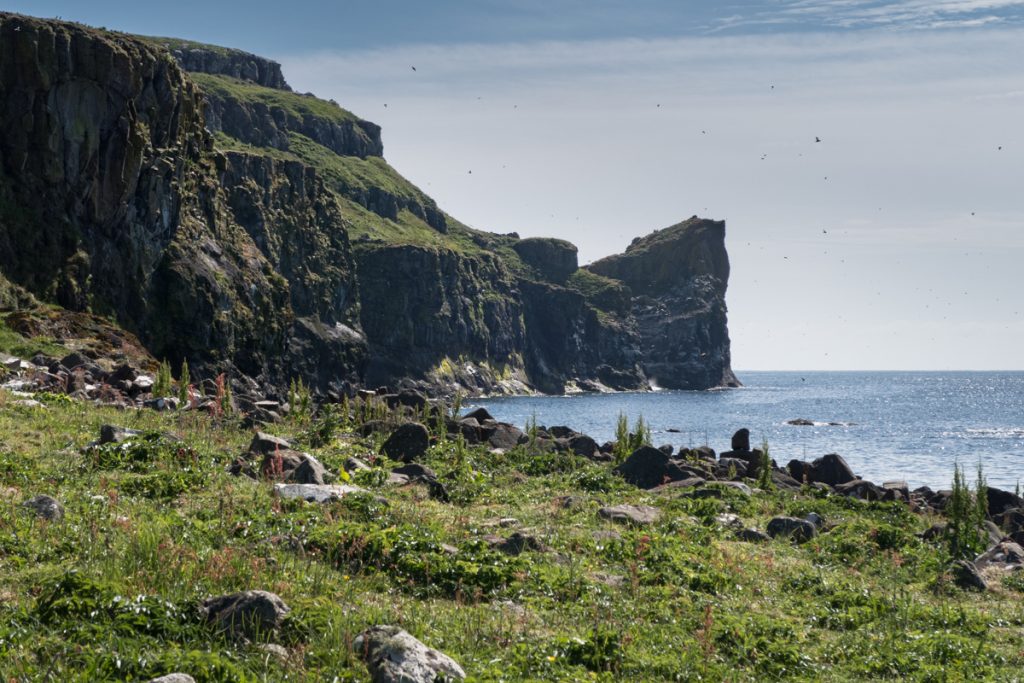 Outlying island off the Isle of Mull with puffins