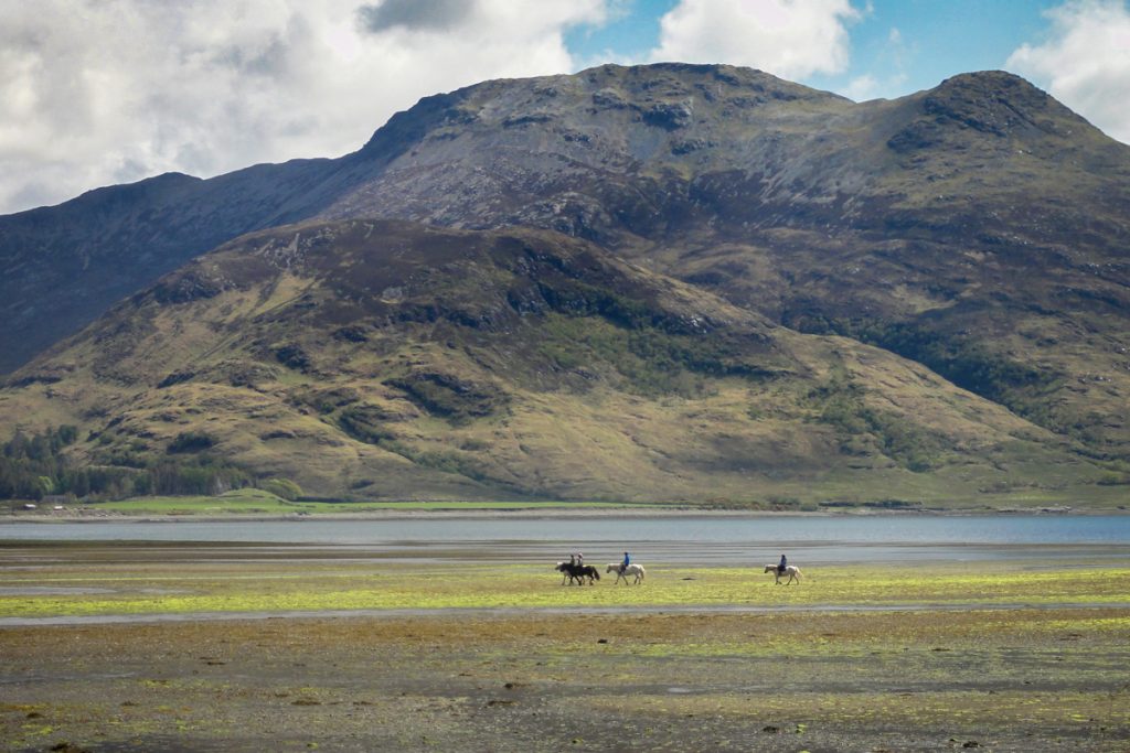 pony trekking on beach by Ben More and other hills on Mull