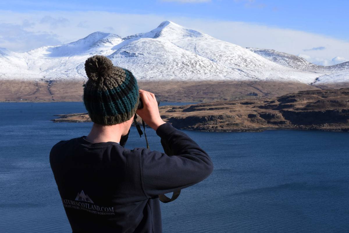 Isle of Mull Cottages Nature Scotland Talks Winter Wildlife on the Isle
