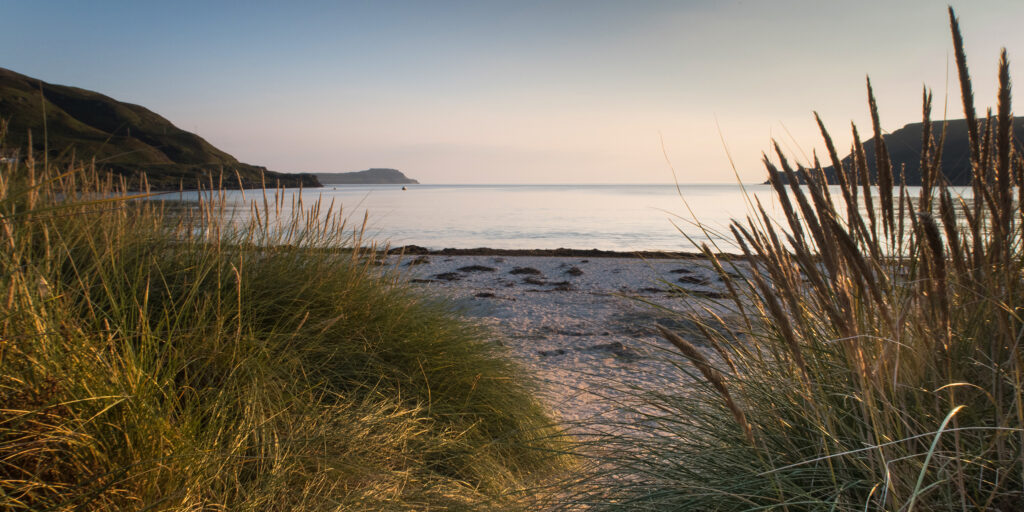 Calgary beach at sunset through the grass