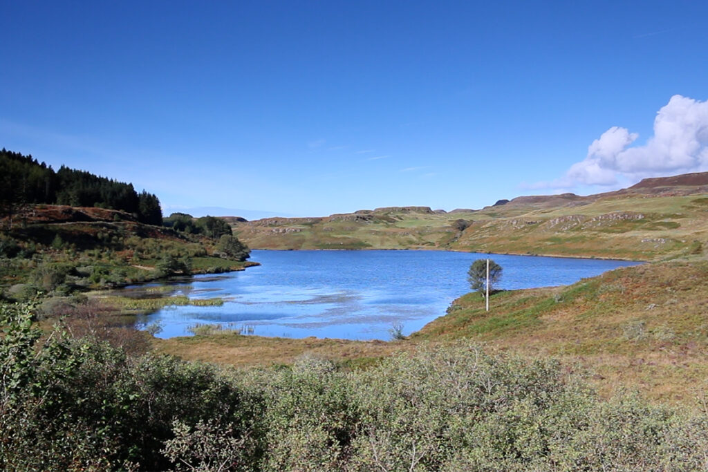 Loch Torr and forestry