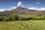 Looking down on the stone circle at Lochbuie