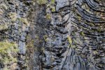 The Fossil Tree - a fantastic sight at the end of a challenging walk on the Ardmeanach peninsula