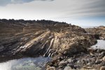 Be sure to visit the Fossil Tree at low tide to ensure you aren't cut off and the spectacle submerged