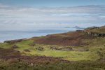 Looking towards a cluster of ruined cottages at Crackaig