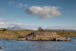 Dun nan Gall viewed from the water