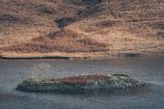 Winter light on the Crannog