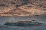 Winter light on the Crannog