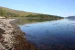 Shingle beach on Fishnish Bay