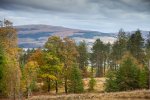 Views over scattered woodland over Loch Scridain