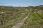 Wooden plank walk to Market bay