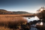 View across the River Bellart reed beds