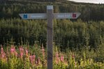 Signposts mark the way around the forestry at Ardmore