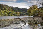 The view across the loch from the walk around Aros Park