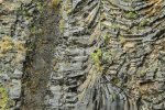 The fossil tree at the end of the walk on the Isle of Mull