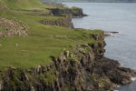 Looking back along Mull's coast toward Calgary