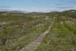 The path to Camas and Market bay