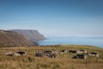 Looking west over Shiaba as you near the ruins