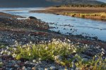 Pebble beaches and freshwater rivers meet the sea along the Sound of Mull