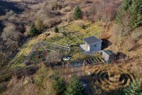 Community Orchard and Ulva Primary