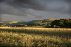 Reed beds where the river Bellart meets Loch Cuin north Mull