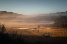 Morning mists hang over the Bellart River