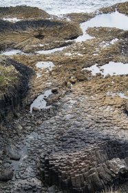 Mull geology on the fossil tree walk