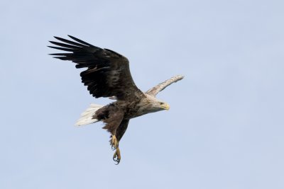 A fantastic location for keen birdwatchers, with plenty of wildlife to discover in the surrounding countryside