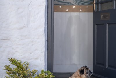 Dogs are welcome too at this pet friendly holiday cottage in Tobermory
