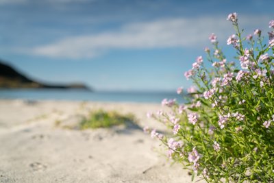 Discover beautiful beaches like Calgary up the north west coast