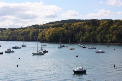 View of the harbour from the apartment