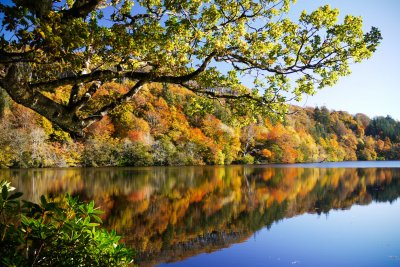 Aros Park on the outskirts of Tobermory